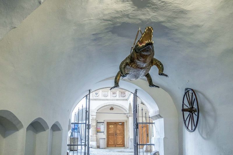 stuffed crocodile suspended from roof of whitewashed passageway