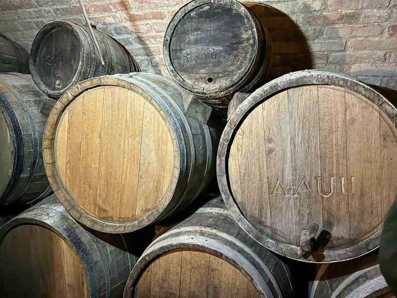 barrels of wine inbrno vegetable market labyrinth