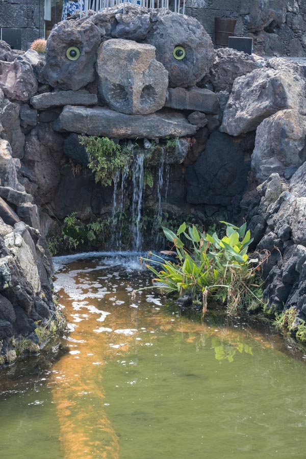 pond with a small quirky rock sculpture of a face with eye acting as a fountain