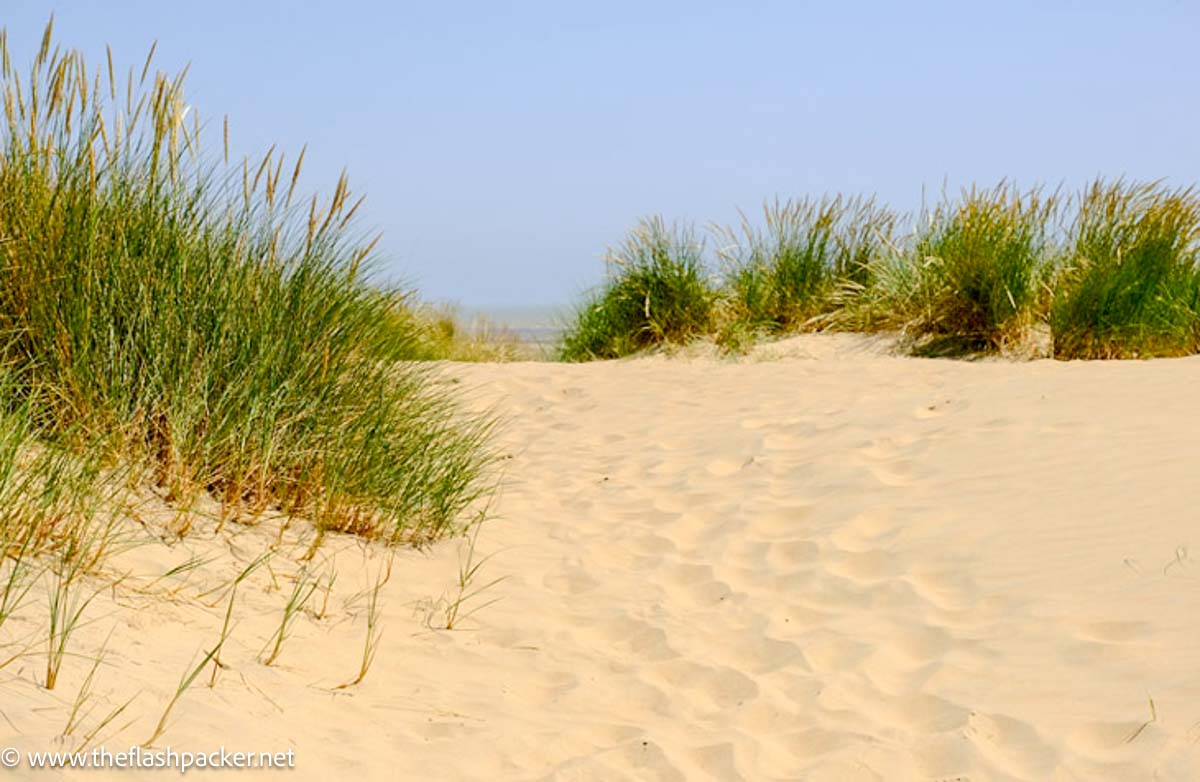 Dunes at Camber Sands