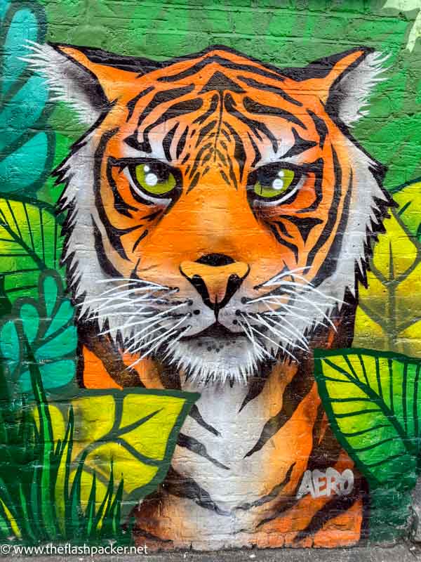 wall mural of a tiger