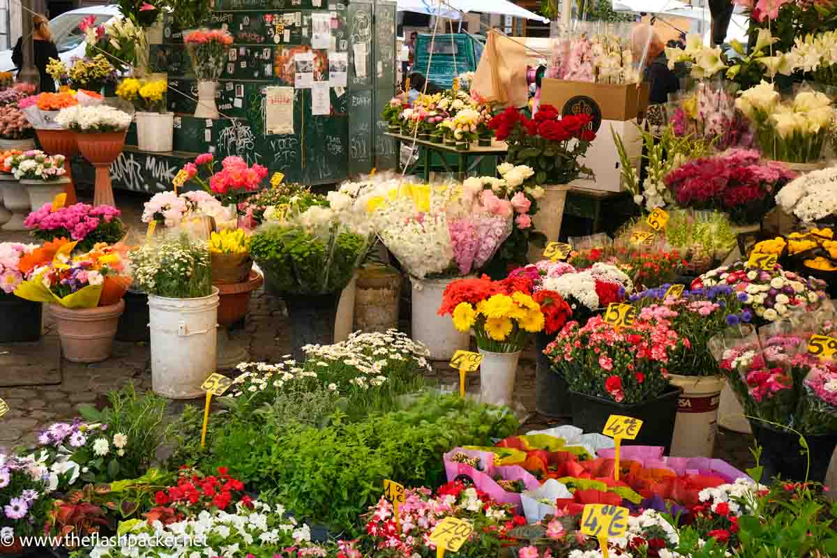 flower stall in rome with brightly coloured blooms