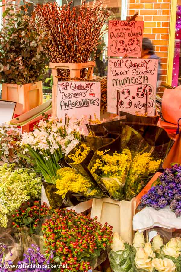 flowers for sale at columbia-rd-market