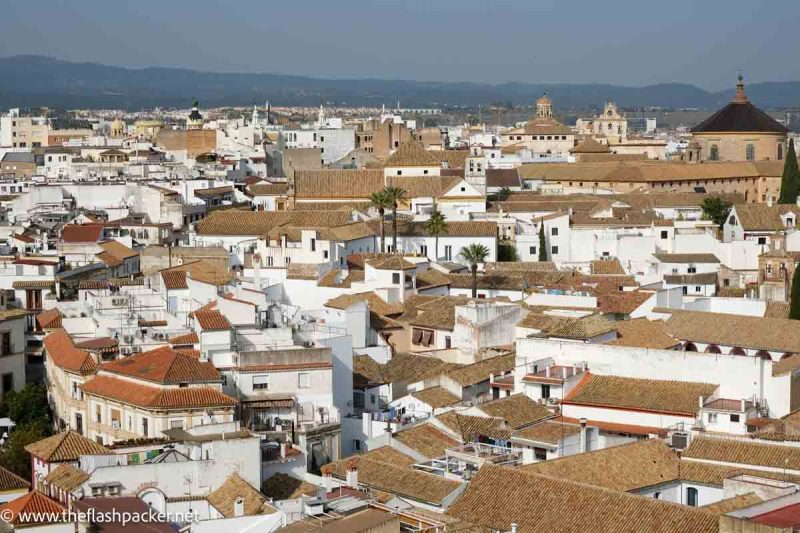 view of the rooftops of the city of cordoba