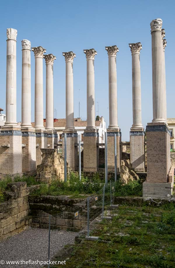 12 large corinthian columns