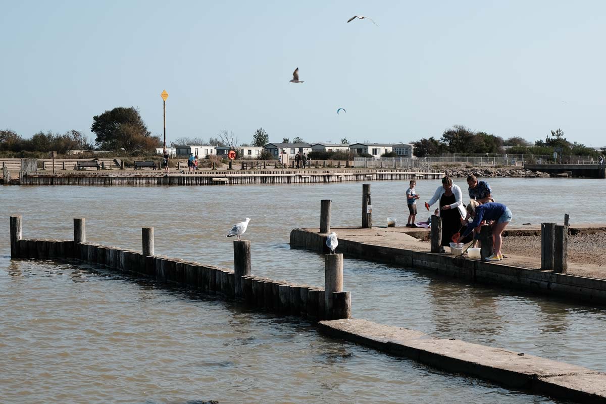 people crabbing in walberswick suffolk with seagulls flying overheah