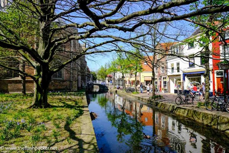 buildings lining the side of a canal in delft netherlands