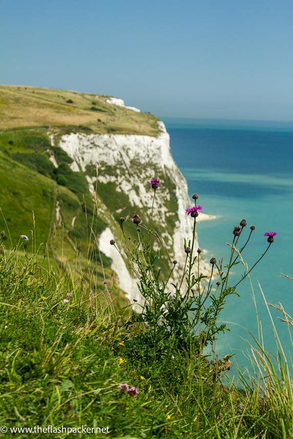 white cliffs of dover in kent uk