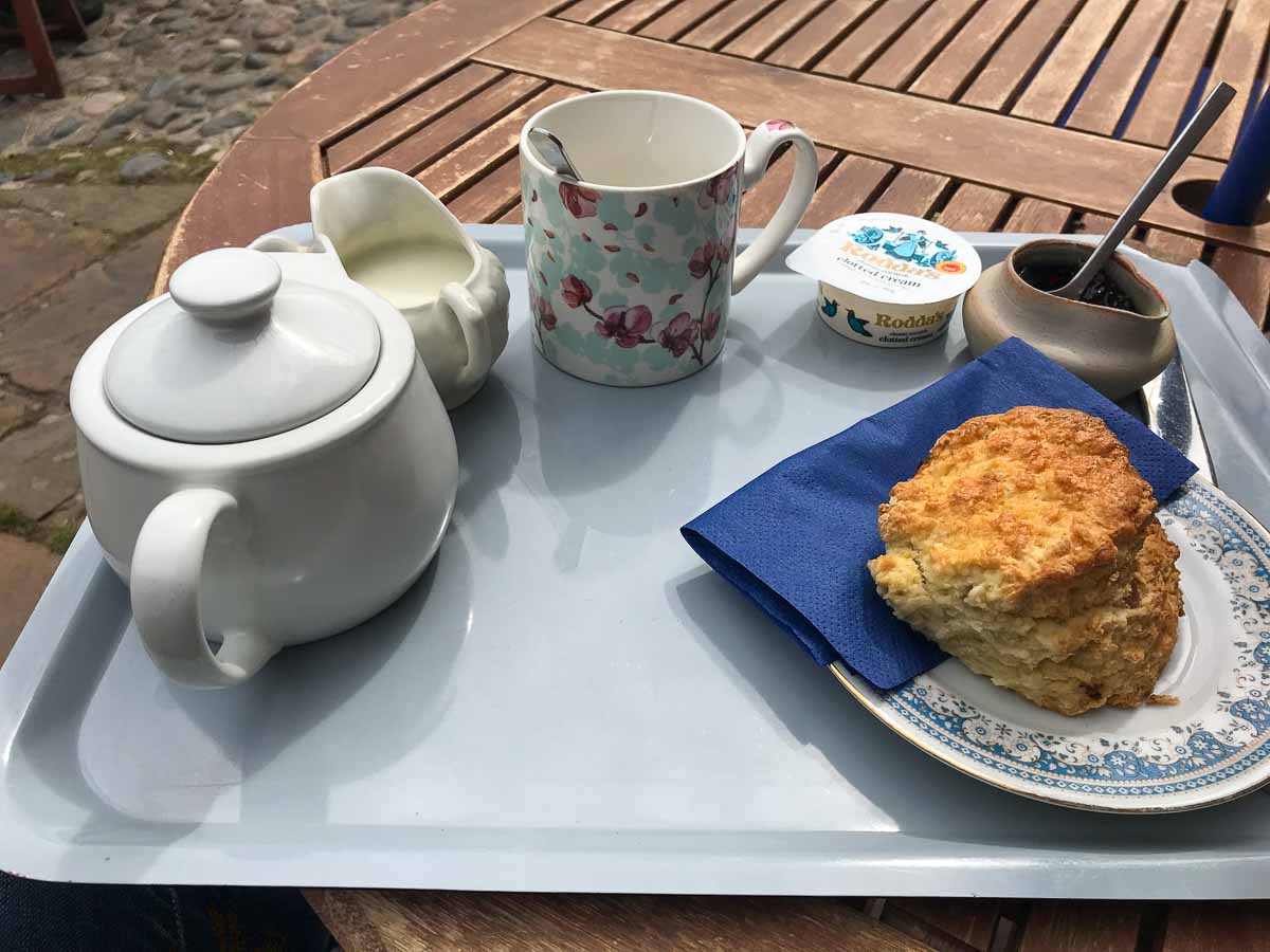 english cream tea with pot of tea scone jam and clotted cream on a tray