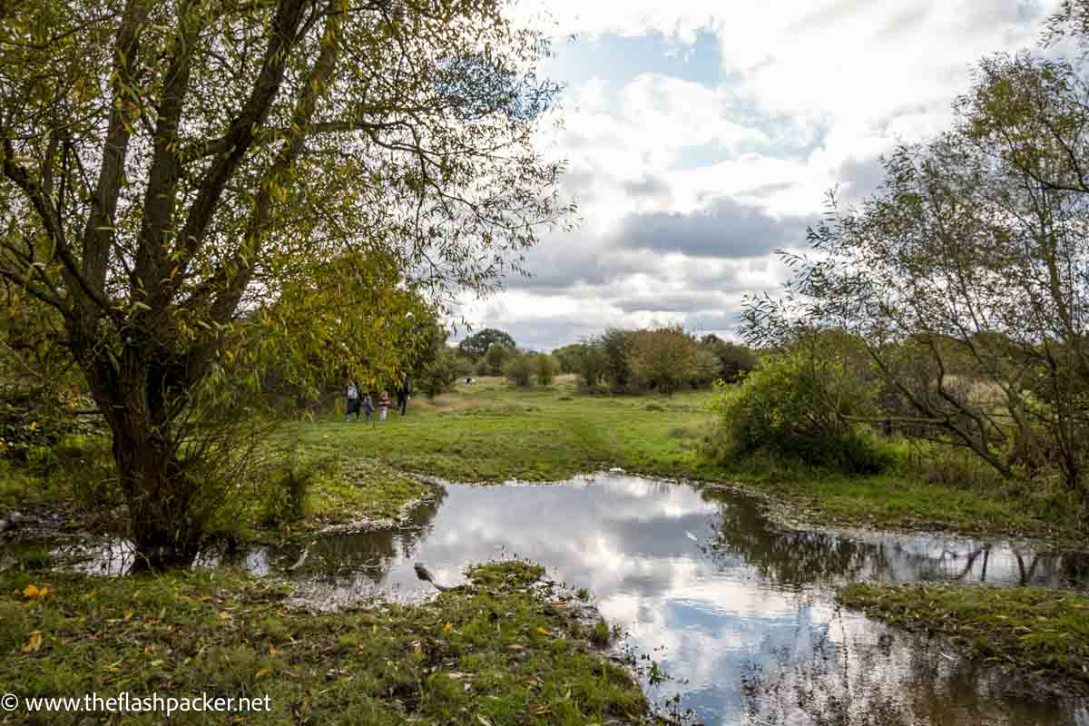 epping forest 5