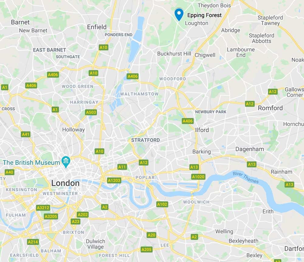 map showing location of epping forest