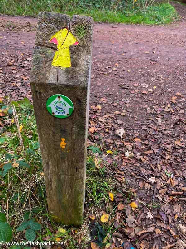 yellow arrow waymarker sign on a post