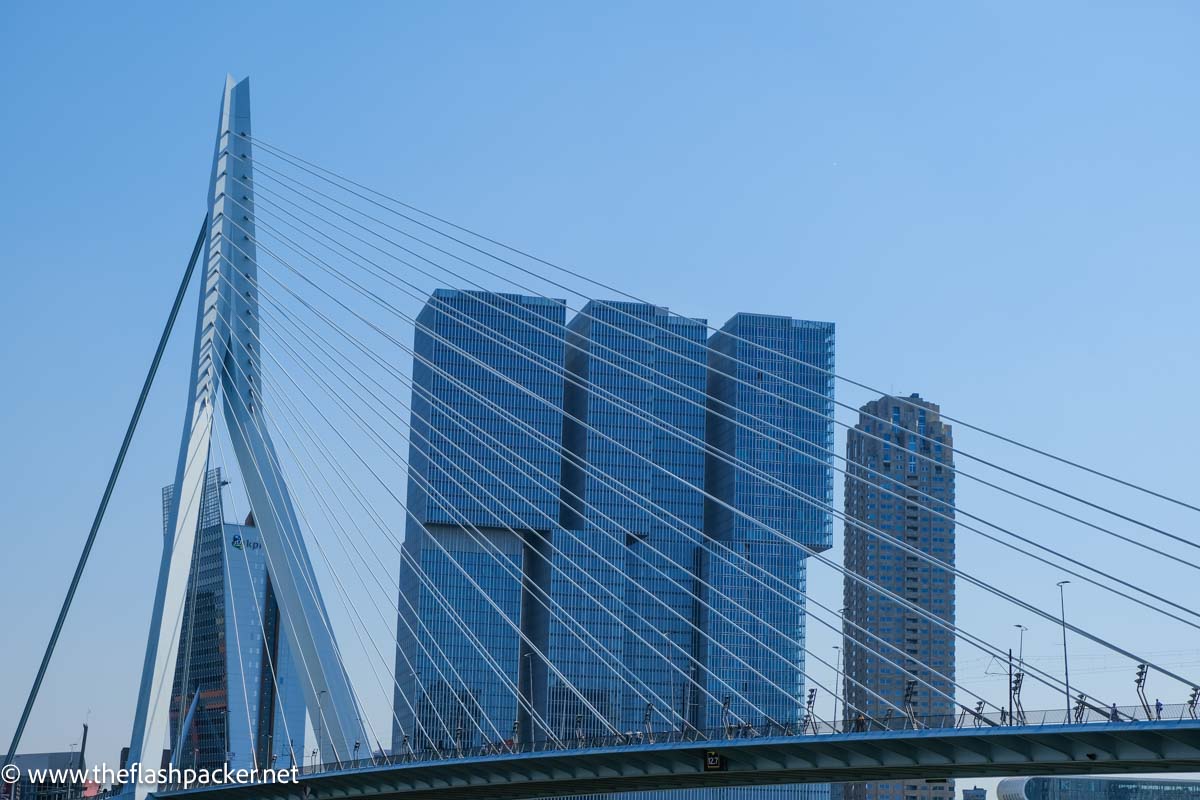 erasmus-bridge-rotterdam