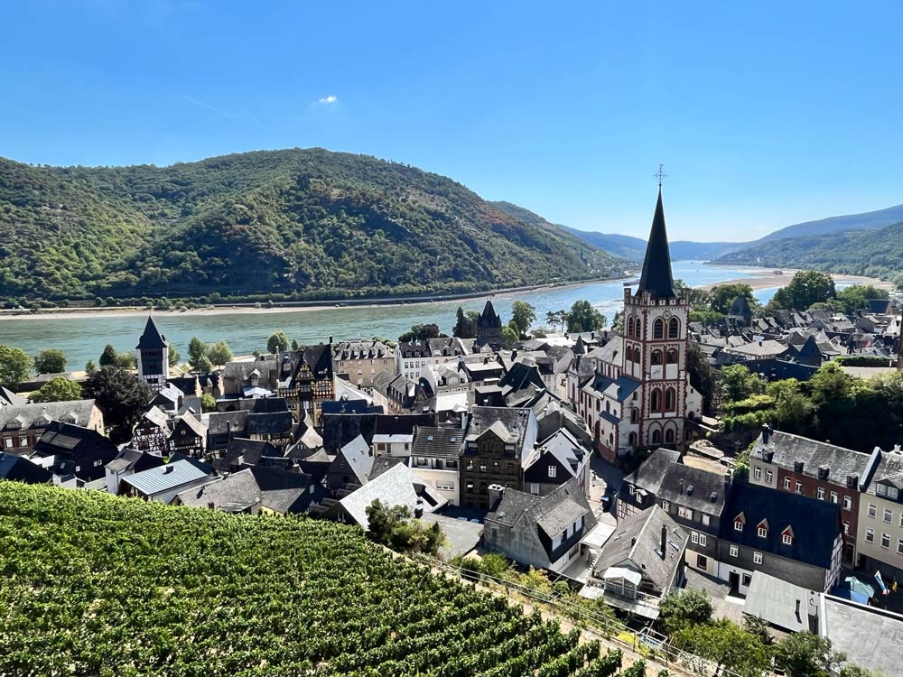 panoramic view of roofs of bacharach germany with church spire and rhine river and vineyard