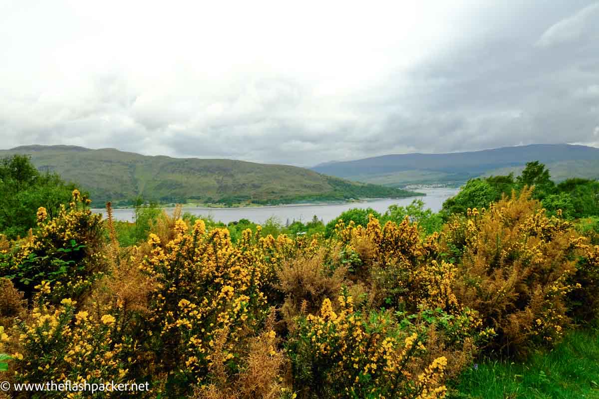 panoramic view of a loch near fort william Scotland and mountains