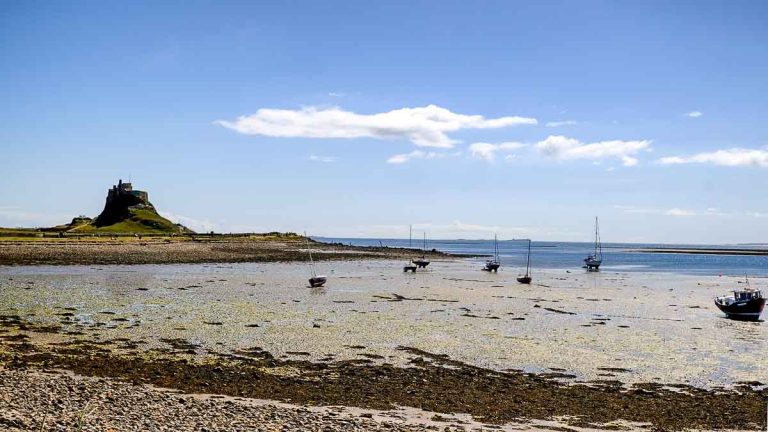 castle and harbour seen on a day trip to lindisfarne