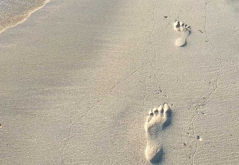 a single set of footprints in the sand