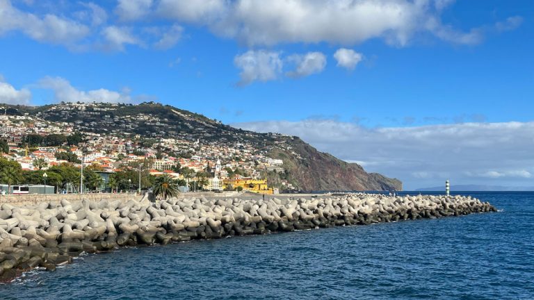 seafront promenade with buidlings rising up a hill which is one of the best things to see in funchal madeira