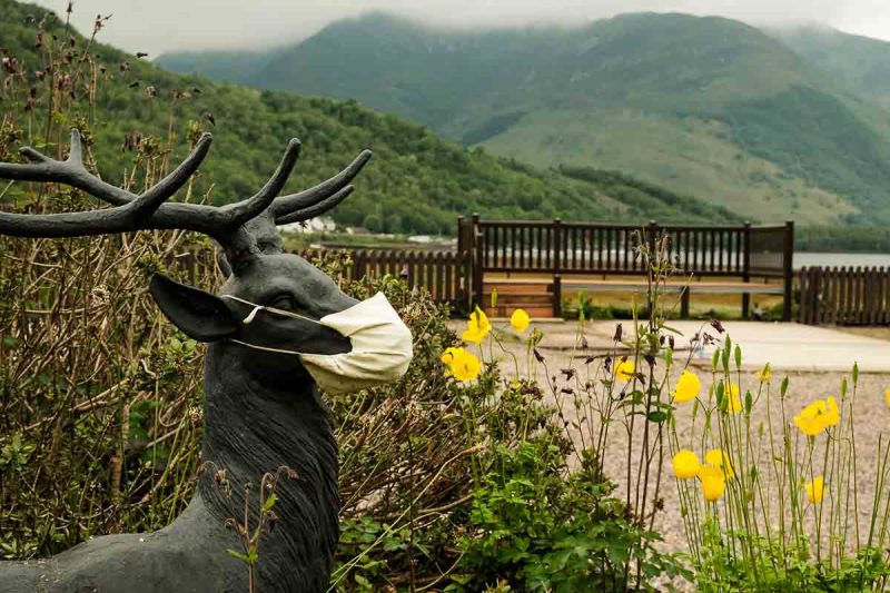 sculpture of deer wearing face mask