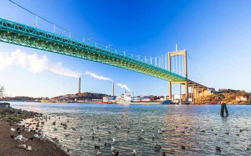 suspension bridge spanning a wide river with sea birds