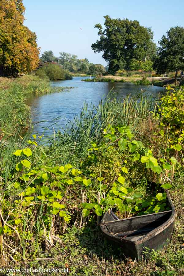 old wooden boat by the side of a lake