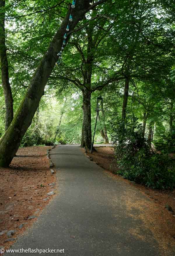 path through woodland in ness islands which is one of the best things to do in inverness scotland