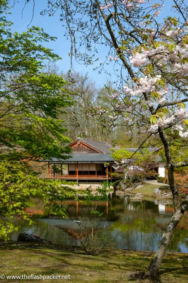 japaense ceremonial house framed by light pink blossom