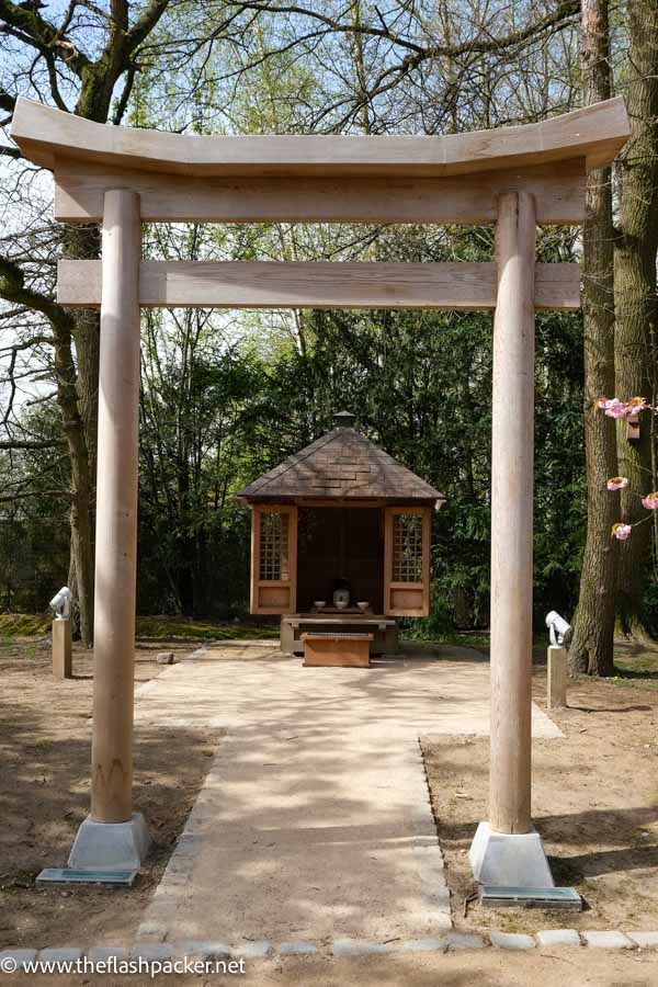 tori gate leading to shinto shrine