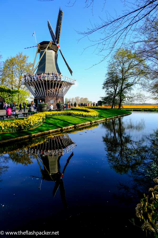 dutch windmill with reflection in water