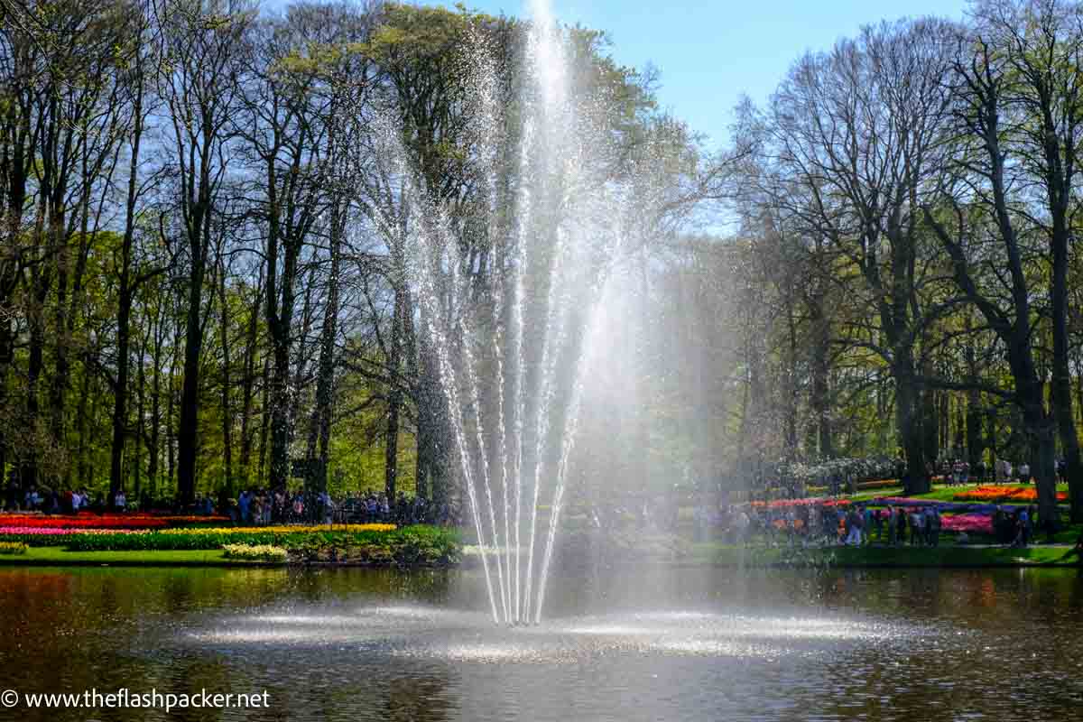 fountain in the middle of a lake