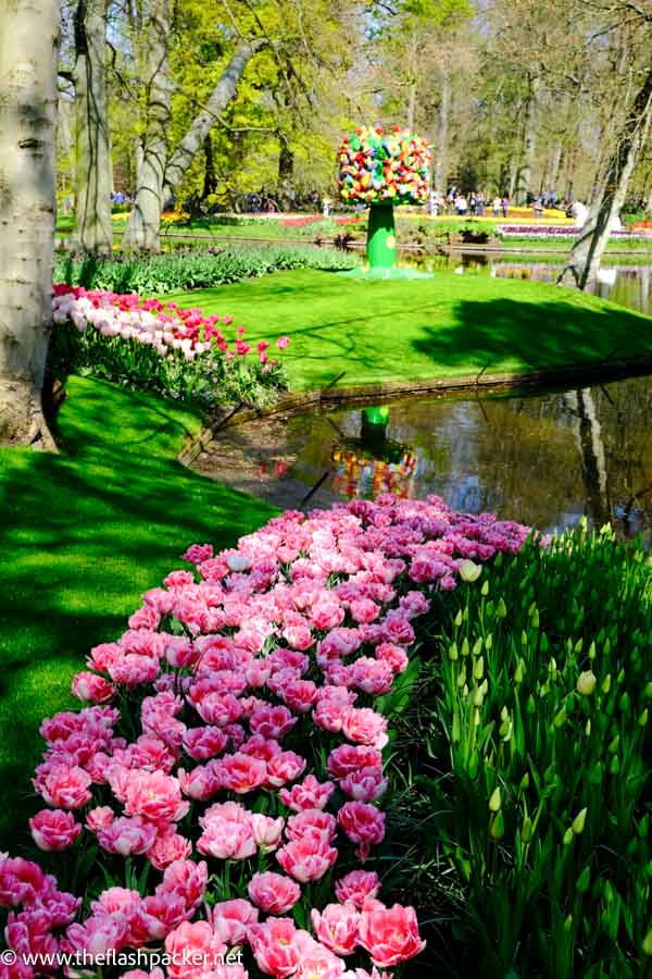 bed of pink flowers in front of small pond