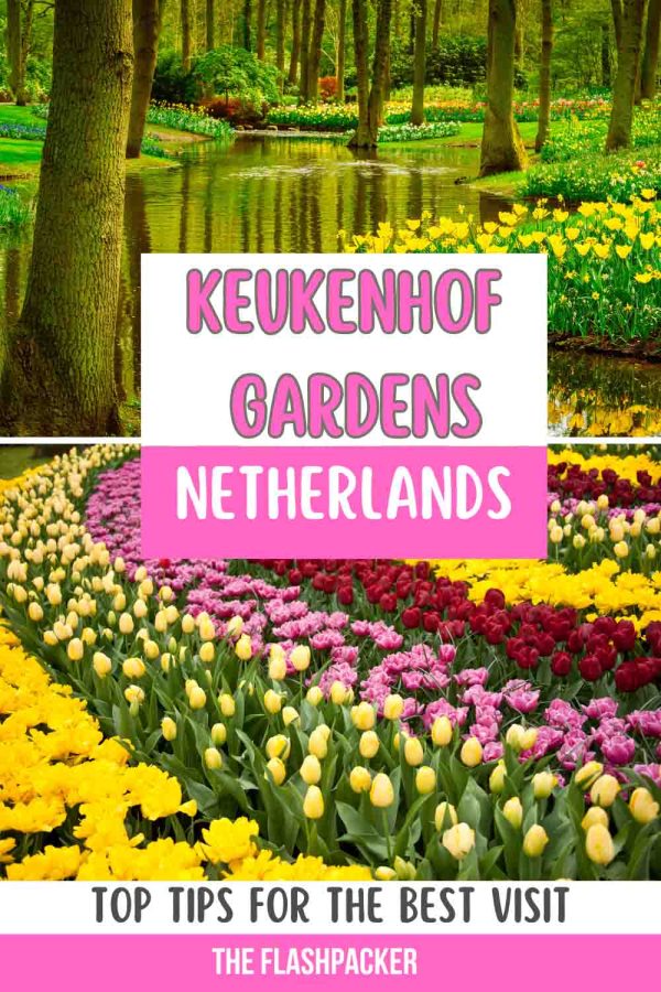 KEUKENHOF GARDENS TIPS 1