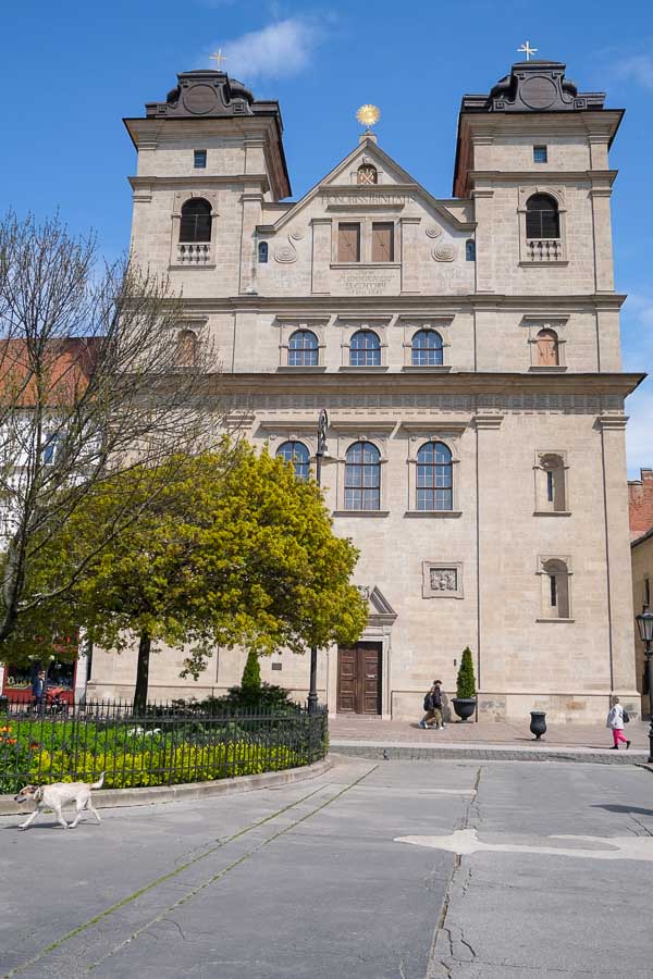 dog and people walking in front of baroque exterior of the holy trinity church in kosice