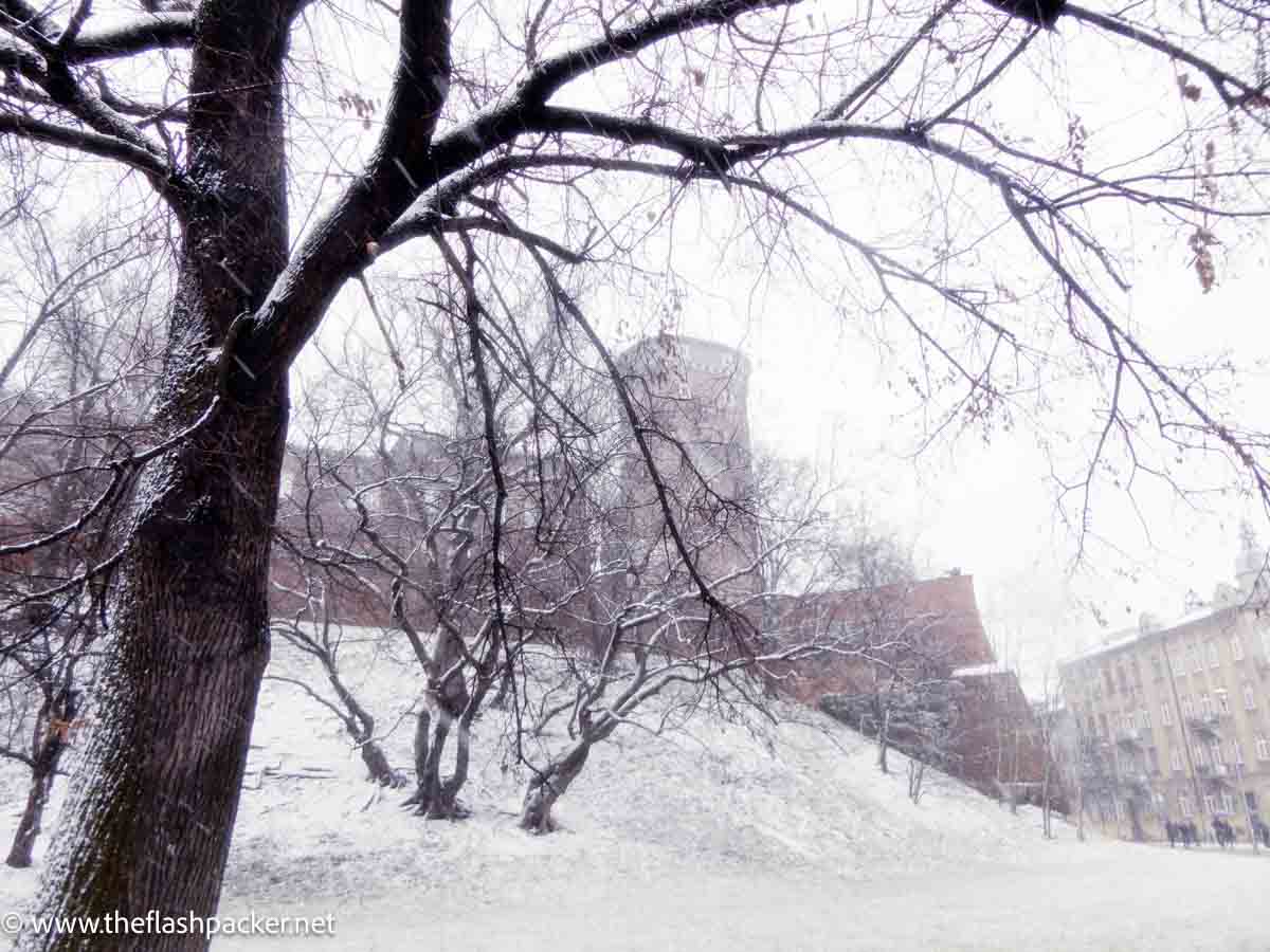 castle and tress in the snow in krakow poland