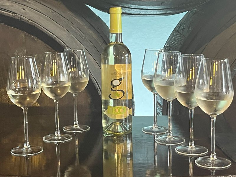 seven glasses of white wine on a table with the wine bottle in the middle