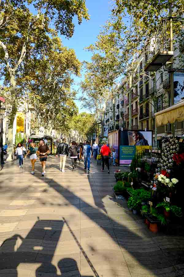 people walking along tree lined pedestrian boulevard in barcelona spain