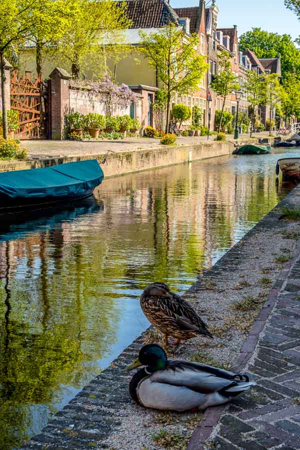 two docks at the side of a canal in leiden netherlands