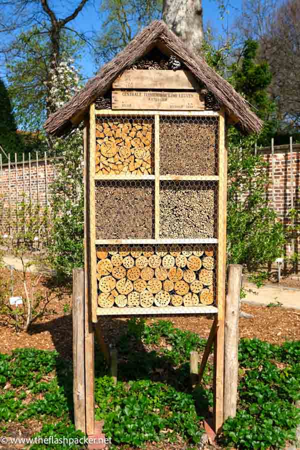 wooden bee hive