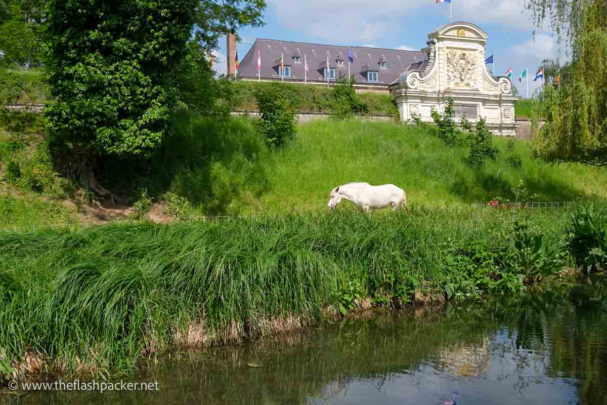 ornate facade of lille citadel next to a grassy river bank with a white horse