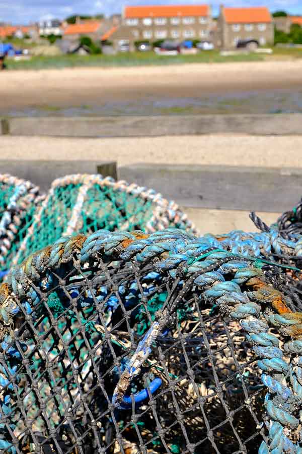 close up of lobster pots