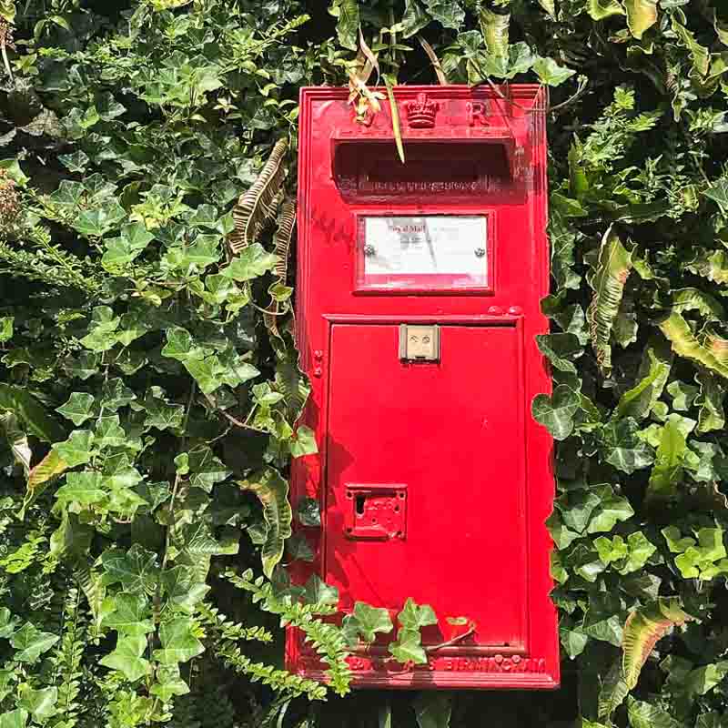 red english post box set into a wall covered with leaves