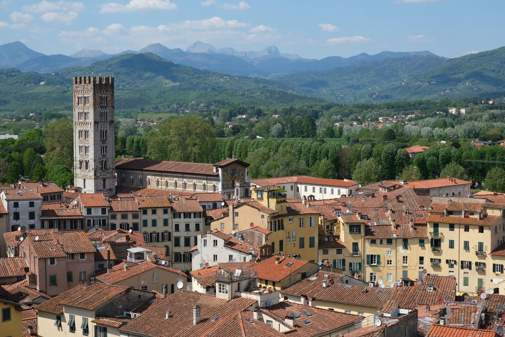 aerial view of the red roofs of the town of lucca in tuscany