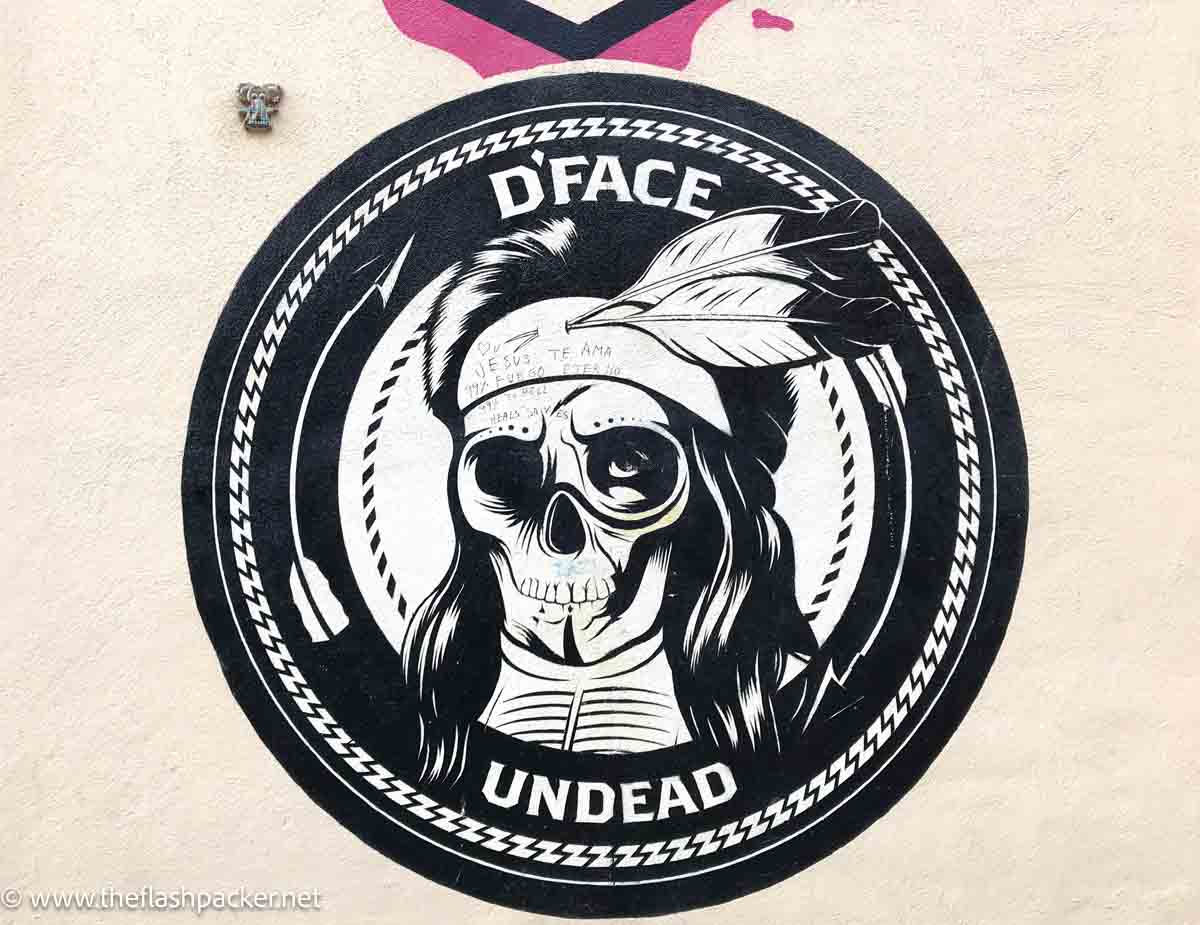 wall mural of skeletal head with hair and feathers that is signed by dface