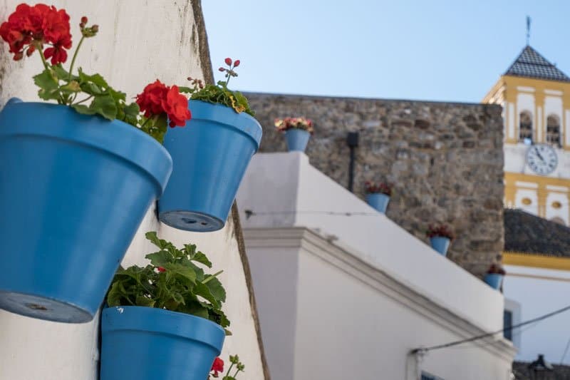 blue flowerpots on wall with red geraniums and church tower in background