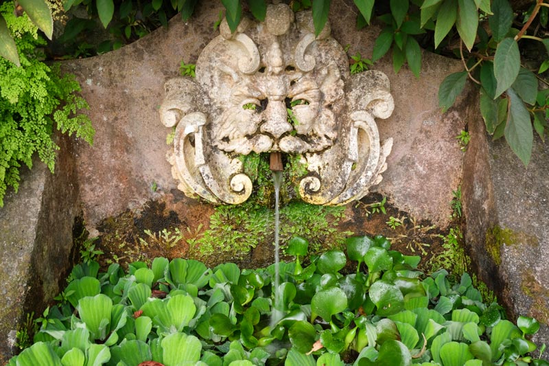 wall mounted stone fountain in the face of a creature at monte palace madeira