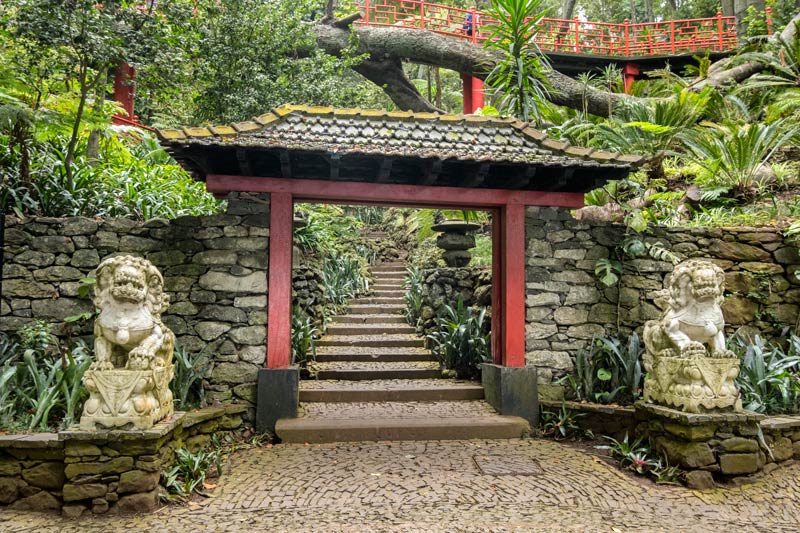 oriental gate leading into a garden flanked by 2 stone lions