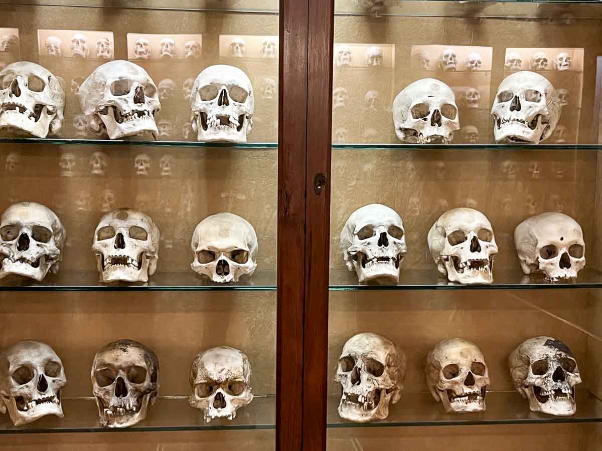 glass cabinet of skulls