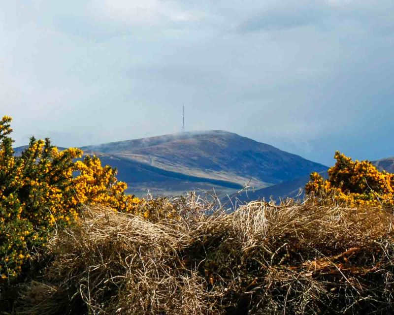 Mount Leinster Carlow Ireland