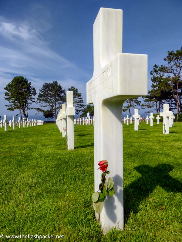 red rose against a white cross in cemetery at omaha beach