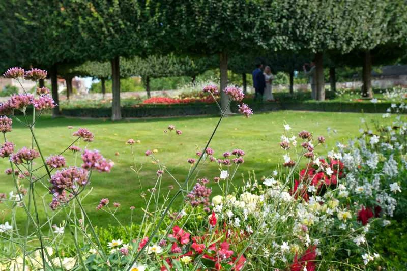 flowers in a large garden with wedding couple in background